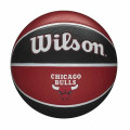 NBA Team kosárlabdák
